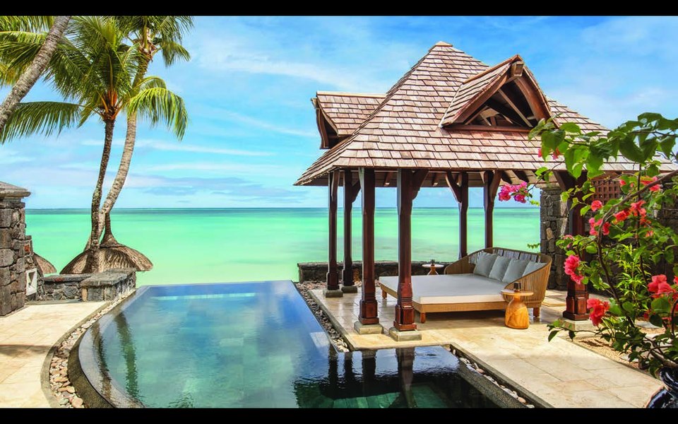 Royal Palm Beachcomber